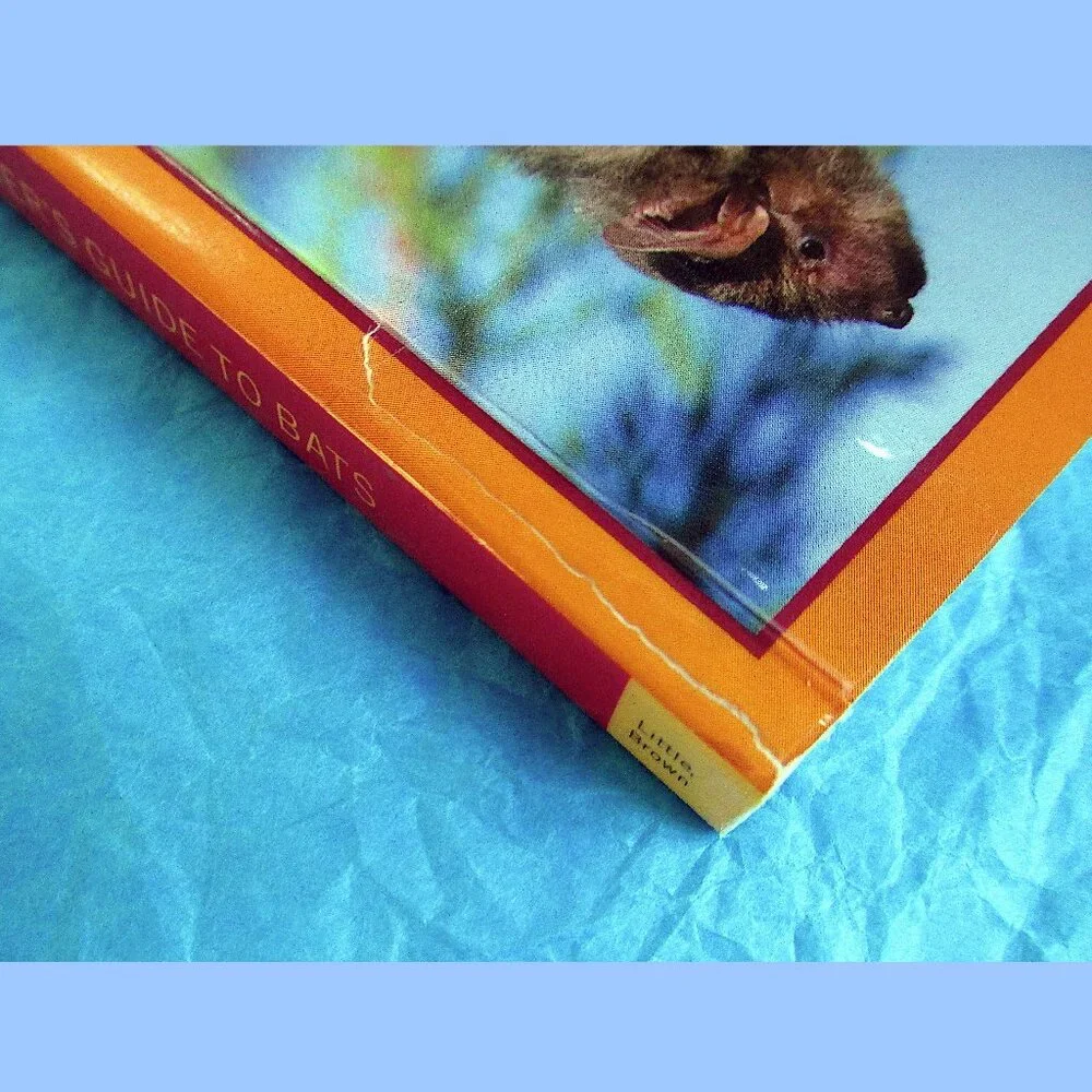 Book: Stokes Beginner's Guide to Bats -- a pocket-sized field guide - Picture 15 of 16